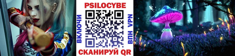 как найти наркотики  Шенкурск  Псилоцибиновые грибы Psilocybe 
